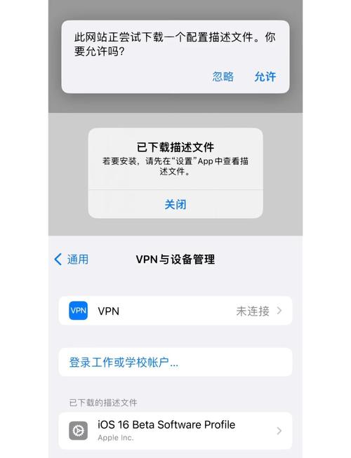 下载完文件后按系统提示安装，这对使用软件有多关键？